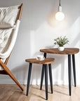 Natural Wooden Triangle Rounded Corner Table(Including 2-sizes Tables)