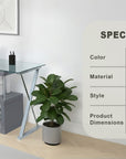 Fenno Contemporary Desk