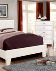 Winn Park Contemporary Upholstered Bed