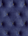 Alzir Elegant Luxury Tufted Velvet Platform Bed