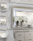 Allegra Contemporary Mirror