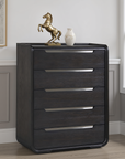 Wentworth Modern Contemporary Chest