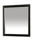 Duc De Savoie Transitional Mirror