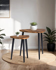 Natural Wooden Triangle Rounded Corner Table(Including 2-sizes Tables)