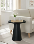 Ashford Contemporary End Table